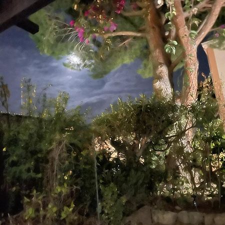 Studio Bandol Avec Jardin Zewnętrze zdjęcie