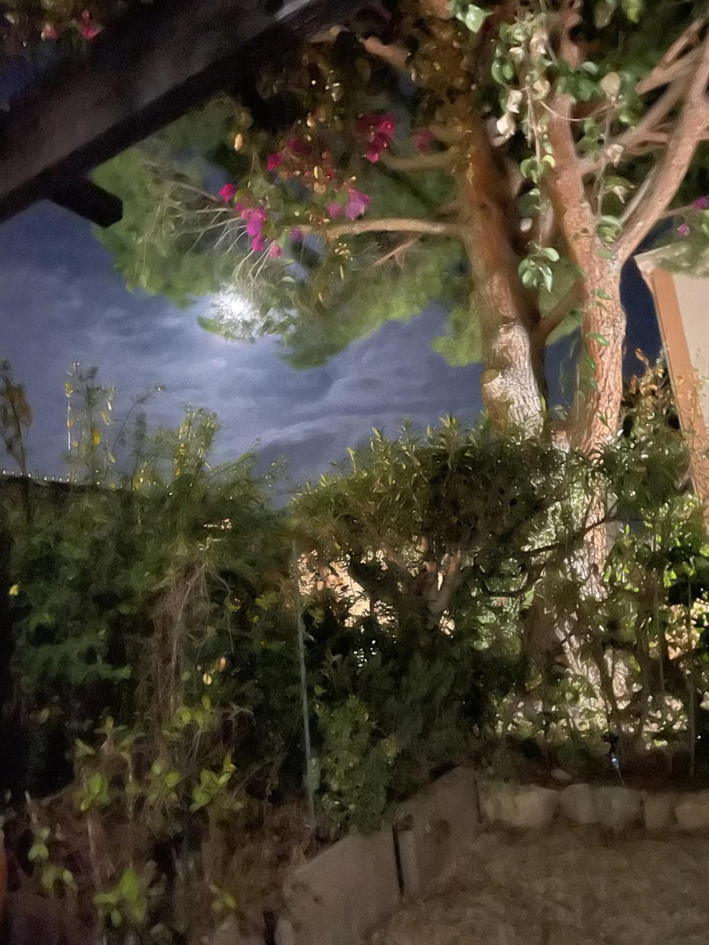 Studio Bandol Avec Jardin Zewnętrze zdjęcie